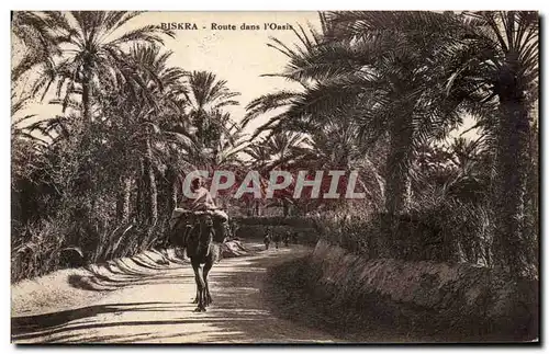Cartes postales Biskra Route dans l Oasis Chameau