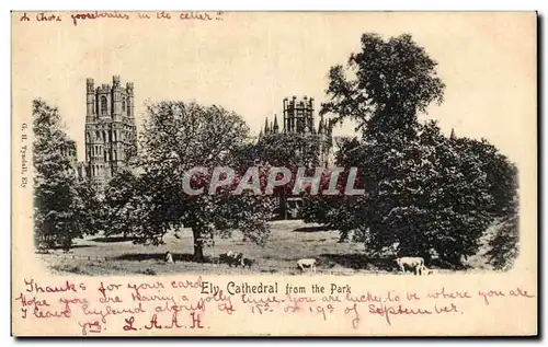 Cartes postales Ely Cathedral From the Park