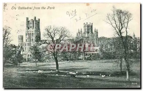 Cartes postales Ely Cathedrale from the Park