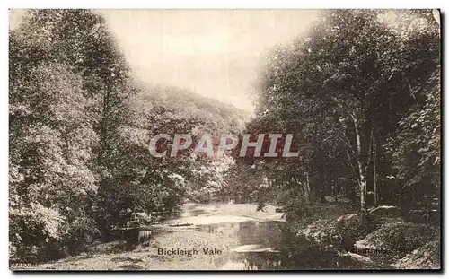 Cartes postales Bickieigh Vale