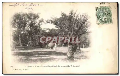 Cartes postales Tipaza Para des antique de la Propriete Tremaux Algerie
