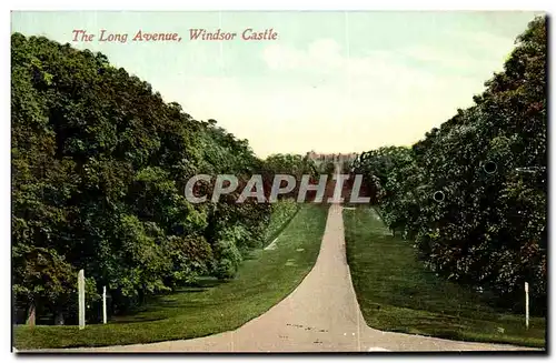 Cartes postales The long Avenue Windor Castle