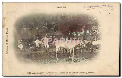 Cartes postales Tonkin Aux manoeuvres Chasseurs annamites au contonnement Chevaux