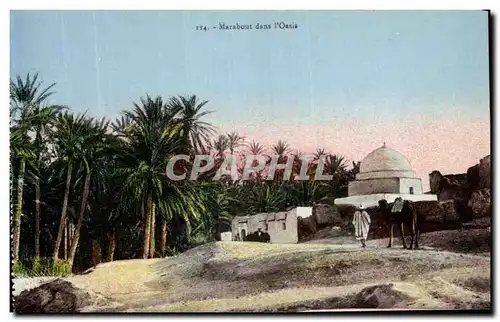 Cartes postales Marabout dans l Oasis