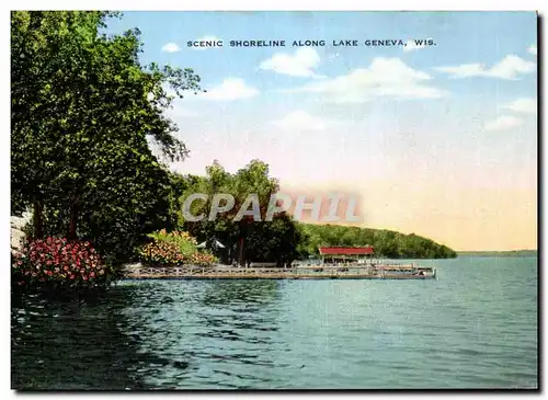 Cartes postales Scenic Shoreline Along Lake Geneva Wis