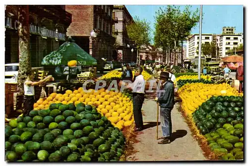 Cartes postales moderne Cataluna Tipica Metcado de Merlones Un Marche de Melons Melons Market Melononmarket