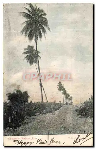 Cartes postales Cocoanut Palms Jamaica