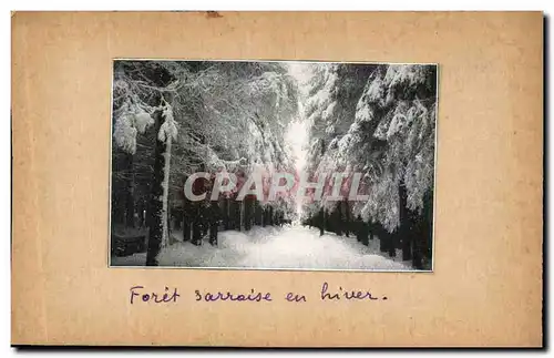 Cartes postales Forit Sarroise en Hiver