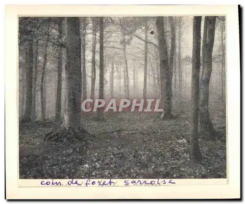 Cartes postales Coin de Foret Sarroise