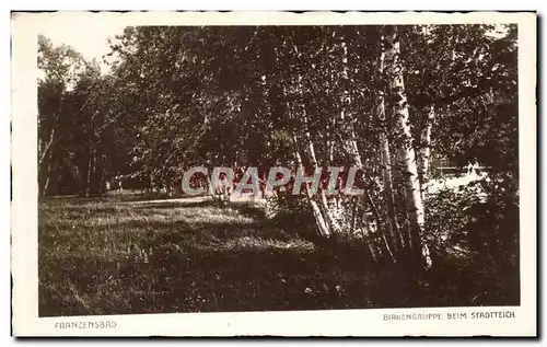 Cartes postales Franzensbad Birkengruppe Beim Stadtteich