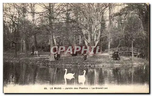 Cartes postales Le Mans Jardin des Plantes le Grand Lac Cygnes