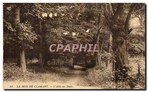 Cartes postales Le Bois De Clamart L allee des duels