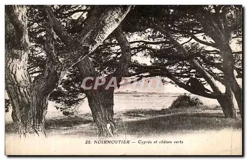 Ansichtskarte AK Noirmoutier Cypres et chenes verts