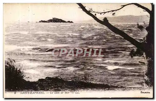 Cartes postales Saint Raphael Le Lion de Mer