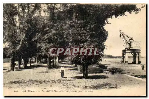 Cartes postales Bayoone Les Allees Marines et la grande grue Chambre de commerce