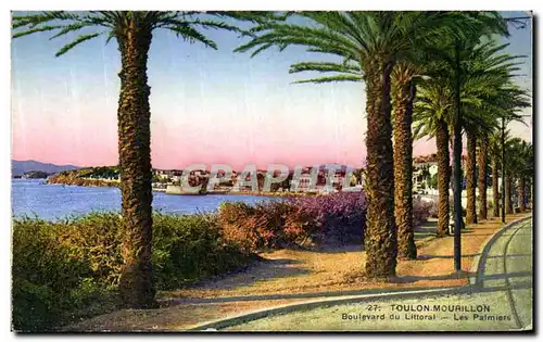 Cartes postales Toulon Mourillon Boulevard du littoral Les Palmiers