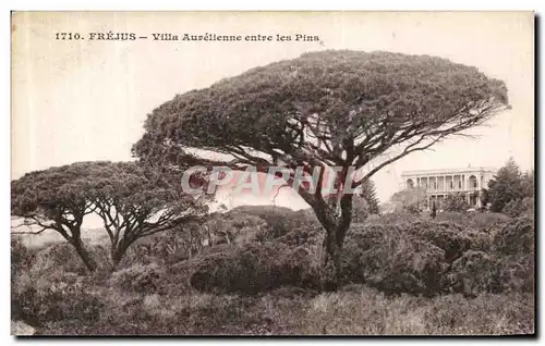 Cartes postales Frejus Villa Aurelienne entre les Pins