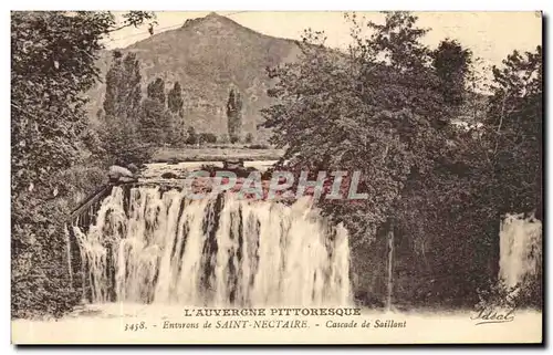 Ansichtskarte AK Environs de Saint Nectaire Cascade de Saillant