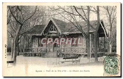 Cartes postales Lyon Parc de la Tete d Or Le Chalet des Forets