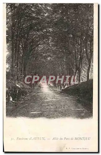 Ansichtskarte AK Environs d Autun Allee du parc de Montjeu