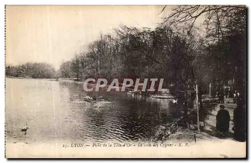 Cartes postales Lyon Parc de la Tete d Or Le coin des cygnes