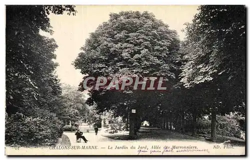 Cartes postales Chalons Sur Marne Le Jardin du Jard Allee des Marronniers