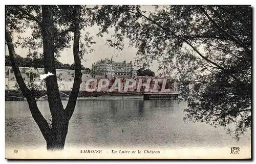 Cartes postales Amboise La Lorie et le Chateau