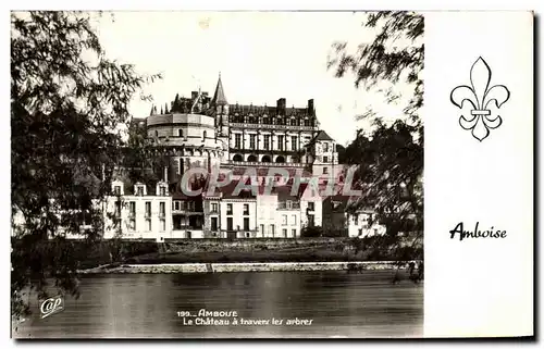 Ansichtskarte AK Amboise Le Chateau a travers les arbres