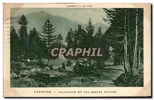 Cartes postales Dauphine Vallouise Et Les Boeufs Rouges