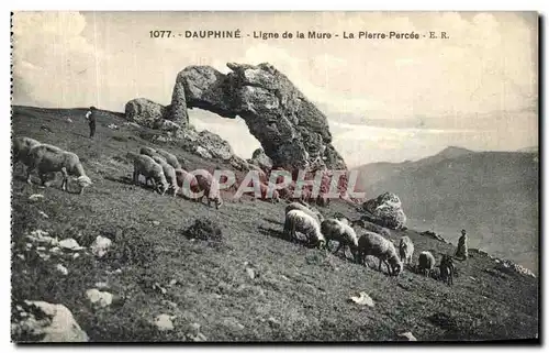 Ansichtskarte AK Dauphine Ligne de la Mure La PIerre Percee Moutons