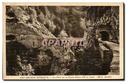 Ansichtskarte AK Les Grands Goulets Le Pont de la Goule Noire