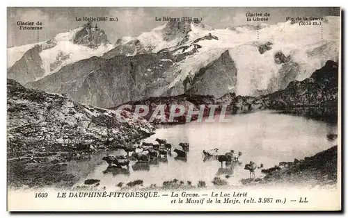 Cartes postales Le Dauphine Pittoresque La Grave Le Lac Lerie et le massif de la Meije Vaches