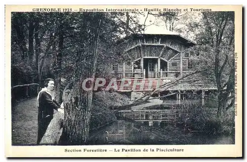 Cartes postales Grenoble Exposition Internationale Houille Blanche et Tourisme Section Forestiere Le Pavillon de
