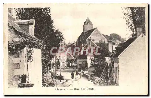 Cartes postales Orbigny Rue des Ponts