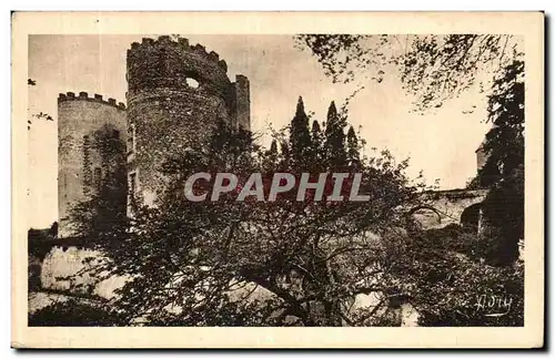 Cartes postales Les Chateaux De La Loire Les Douves du Chateau de Cinq Mars