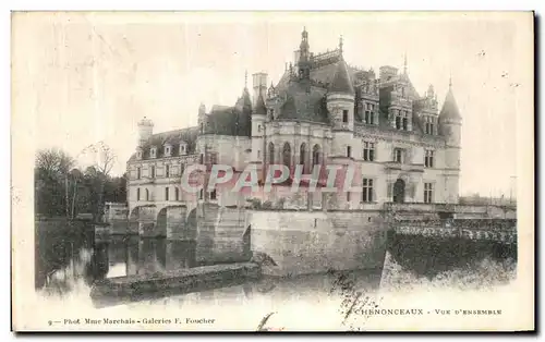 Cartes postales Chenonceaux Vue D Ensemble