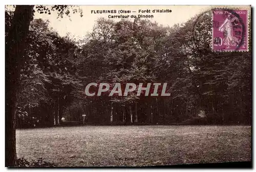 Cartes postales Fleurines Foret d Halatte Carrefour du Dindon