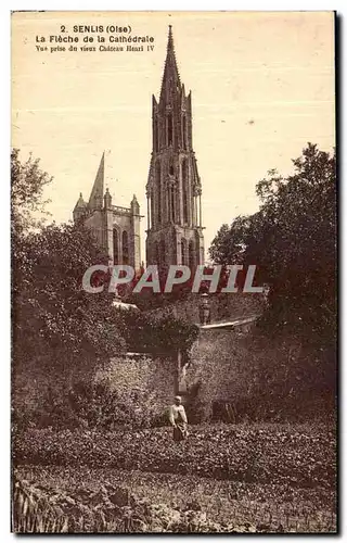 Cartes postales Senlis la fleche Vue prise du vieux Chateau Henri IV