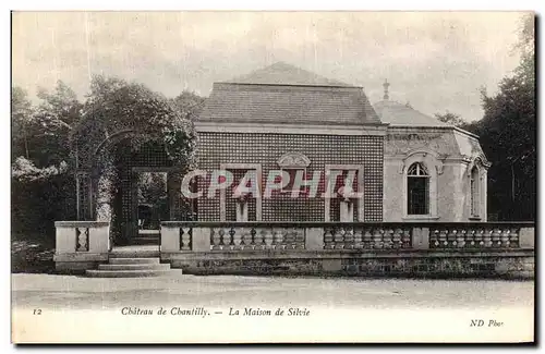 Cartes postales Chateau De Chantilly La Maison de Silvie