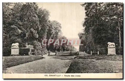 Cartes postales Chantilly Route des Lions