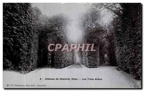 Cartes postales Chateau De Chantilly Les Trois Allees