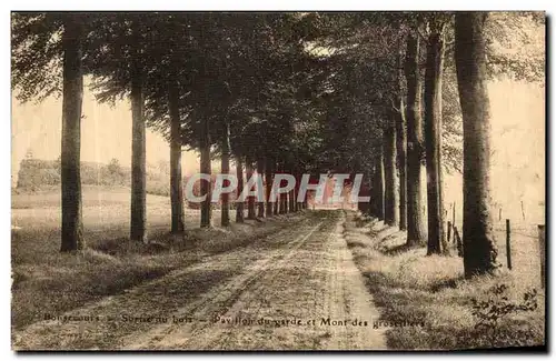 Cartes postales Bonsecours Sortie du bois Pavillon du garde et Mont des Groseillers