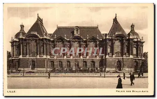 Cartes postales Lille Palais Des Beaux Arts