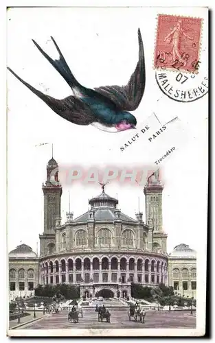 Cartes postales Paris Salut Trocadero Hirondelle