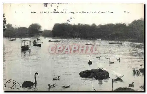 Ansichtskarte AK Paris Bois de Boulogne Un Coin du Grand Lac