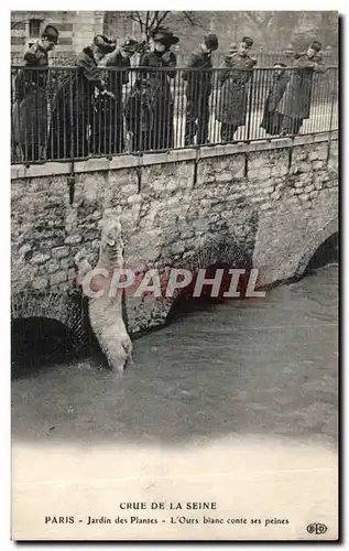 Ansichtskarte AK Paris Crue De la Seine Jardin des Plantes L Ours Blanc conte ses peines