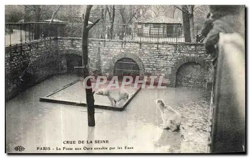 Ansichtskarte AK Paris Crue De la Seine La Fosse aux Ours envahie par les Eaux