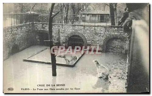 Ansichtskarte AK Crue De La Seine Paris La Fosse aux ours Envahie Par les Eaux