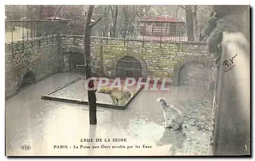 Cartes postales Crue De La Seine Paris La Fosse aux Ours Envable Par Les Eaux