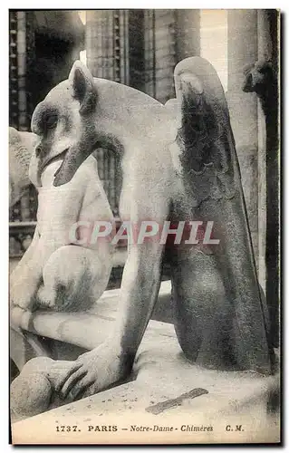 Ansichtskarte AK Paris Notre Dame Chimeres